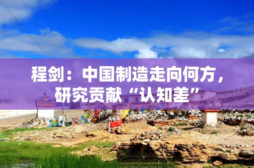 程剑：中国制造走向何方，研究贡献“认知差”