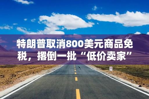 特朗普取消800美元商品免税，撂倒一批“低价卖家”