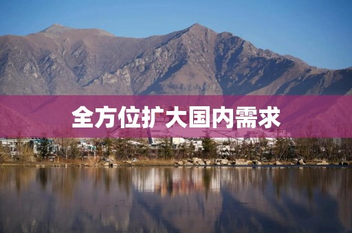全方位扩大国内需求