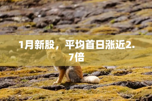 1月新股，平均首日涨近2.7倍