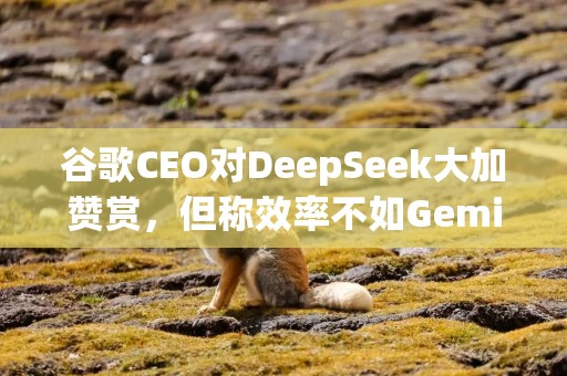 谷歌CEO对DeepSeek大加赞赏，但称效率不如Gemini