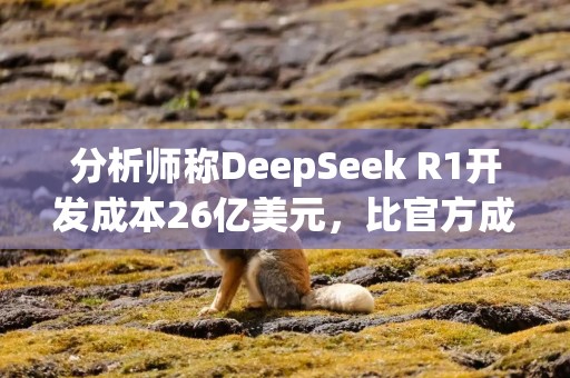 分析师称DeepSeek R1开发成本26亿美元，比官方成本高出467倍