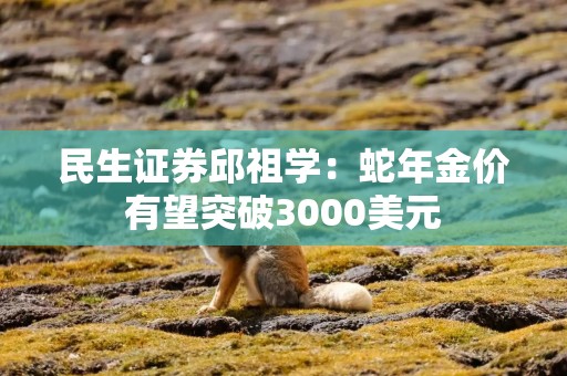民生证券邱祖学：蛇年金价有望突破3000美元