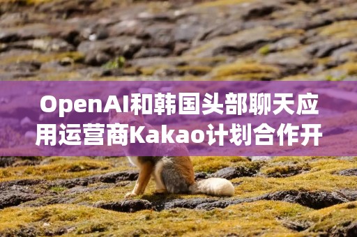 OpenAI和韩国头部聊天应用运营商Kakao计划合作开发面向韩国市场的人工智能产品