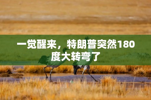 一觉醒来，特朗普突然180度大转弯了