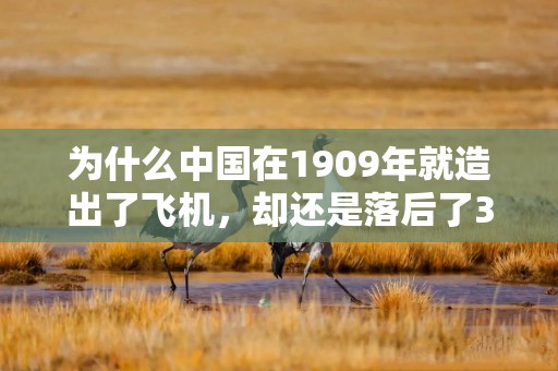 为什么中国在1909年就造出了飞机，却还是落后了30年？