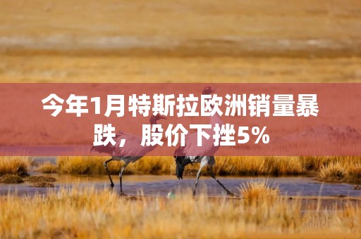 今年1月特斯拉欧洲销量暴跌，股价下挫5%