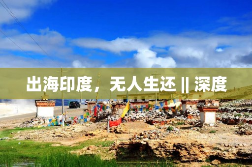 出海印度，无人生还 || 深度