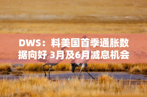 DWS：料美国首季通胀数据向好 3月及6月减息机会犹存但力度料减弱