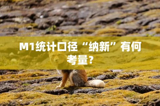 M1统计口径“纳新”有何考量？