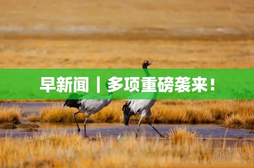 早新闻｜多项重磅袭来！