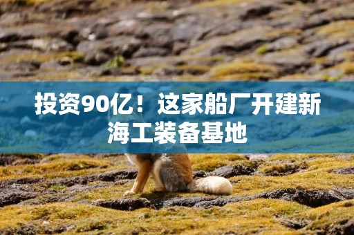 投资90亿！这家船厂开建新海工装备基地