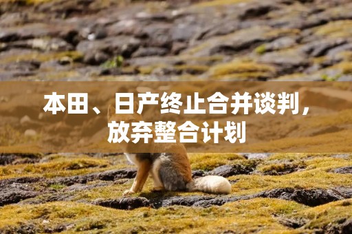 本田、日产终止合并谈判，放弃整合计划