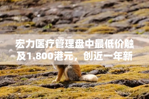 宏力医疗管理盘中最低价触及1.800港元，创近一年新低