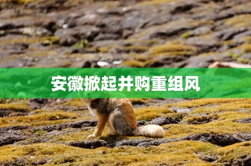 安徽掀起并购重组风