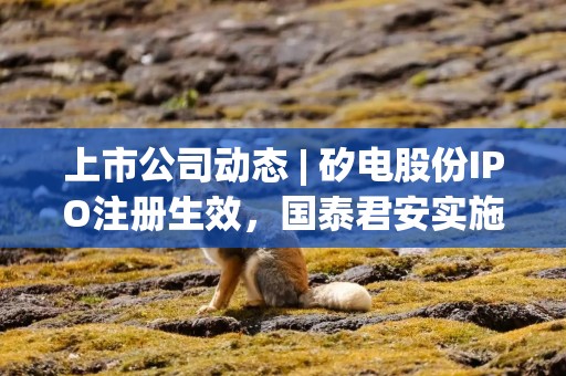 上市公司动态 | 矽电股份IPO注册生效，国泰君安实施A股异议股东收购请求权，海螺水泥终止认购中建西部建设股份