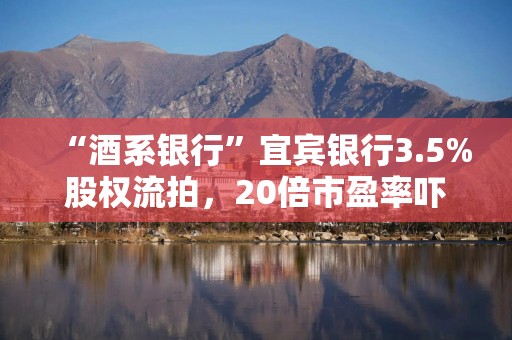 “酒系银行”宜宾银行3.5%股权流拍，20倍市盈率吓退买家
