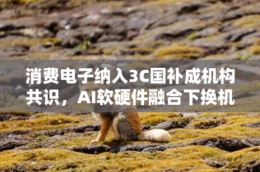 消费电子纳入3C国补成机构共识，AI软硬件融合下换机潮可期