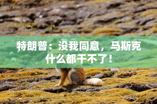 特朗普：没我同意，马斯克什么都干不了！