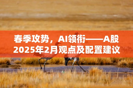 春季攻势，AI领衔——A股2025年2月观点及配置建议