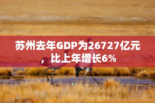 苏州去年GDP为26727亿元，比上年增长6%