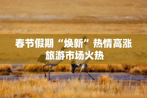 春节假期“焕新”热情高涨 旅游市场火热
