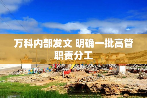 万科内部发文 明确一批高管职责分工