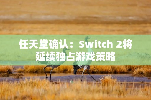 任天堂确认：Switch 2将延续独占游戏策略