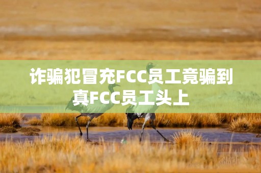 诈骗犯冒充FCC员工竟骗到真FCC员工头上