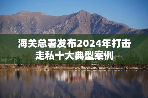海关总署发布2024年打击走私十大典型案例
