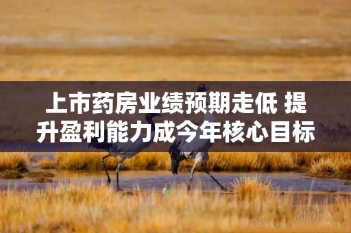 上市药房业绩预期走低 提升盈利能力成今年核心目标