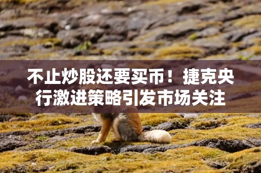不止炒股还要买币！捷克央行激进策略引发市场关注