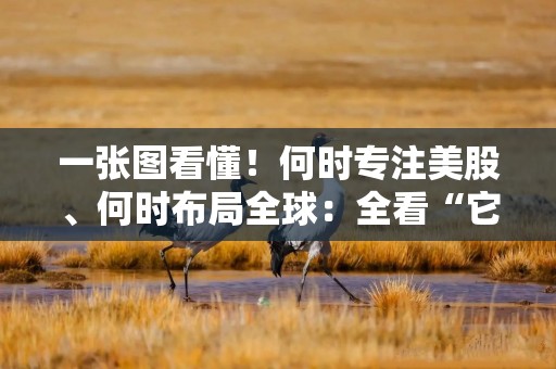 一张图看懂！何时专注美股、何时布局全球：全看“它”