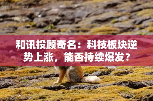 和讯投顾奇名：科技板块逆势上涨，能否持续爆发？