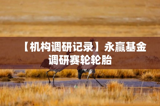 【机构调研记录】永赢基金调研赛轮轮胎
