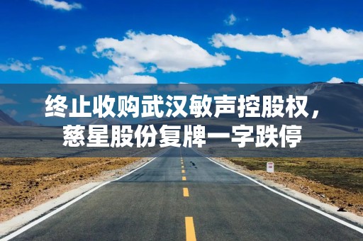 终止收购武汉敏声控股权，慈星股份复牌一字跌停