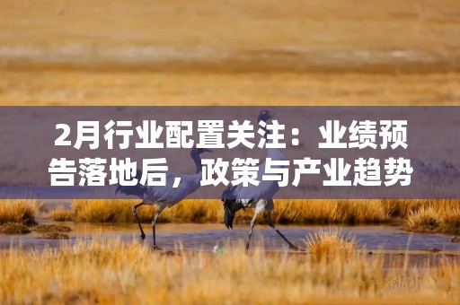 2月行业配置关注：业绩预告落地后，政策与产业趋势催化下的行业选择