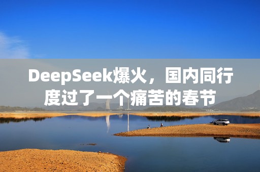 DeepSeek爆火，国内同行度过了一个痛苦的春节