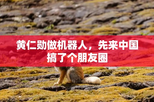 黄仁勋做机器人，先来中国搞了个朋友圈