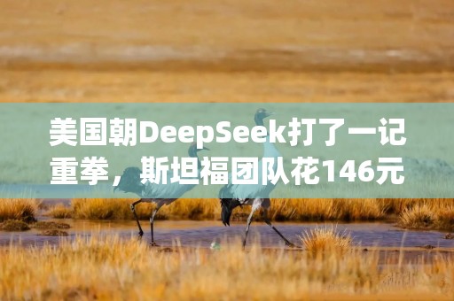 美国朝DeepSeek打了一记重拳，斯坦福团队花146元复现AI模型｜钛媒体AGI