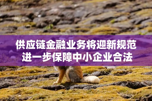 供应链金融业务将迎新规范 进一步保障中小企业合法权益