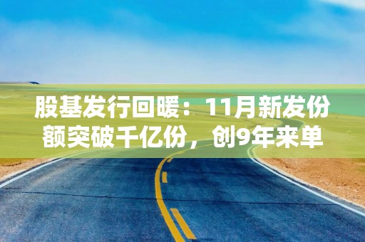 股基发行回暖：11月新发份额突破千亿份，创9年来单月最高