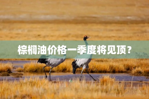 棕榈油价格一季度将见顶？