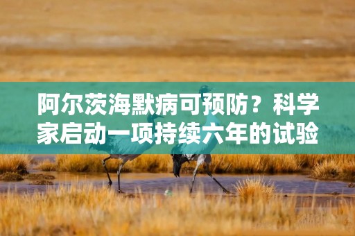 阿尔茨海默病可预防？科学家启动一项持续六年的试验