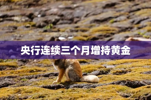 央行连续三个月增持黄金
