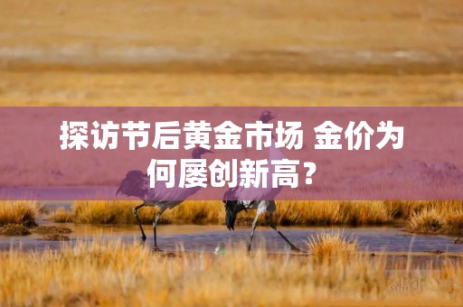 探访节后黄金市场 金价为何屡创新高？