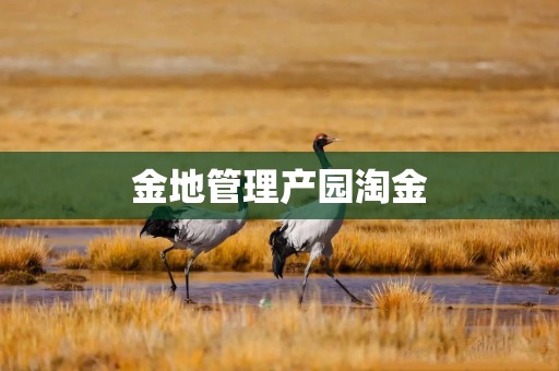 金地管理产园淘金