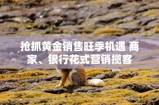 抢抓黄金销售旺季机遇 商家、银行花式营销揽客