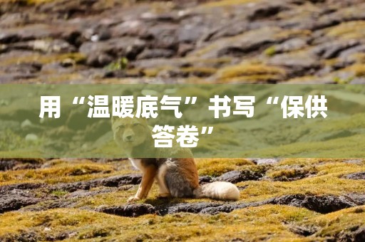 用“温暖底气”书写“保供答卷”