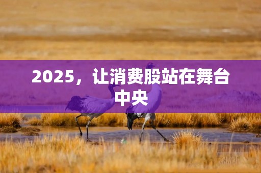 2025，让消费股站在舞台中央